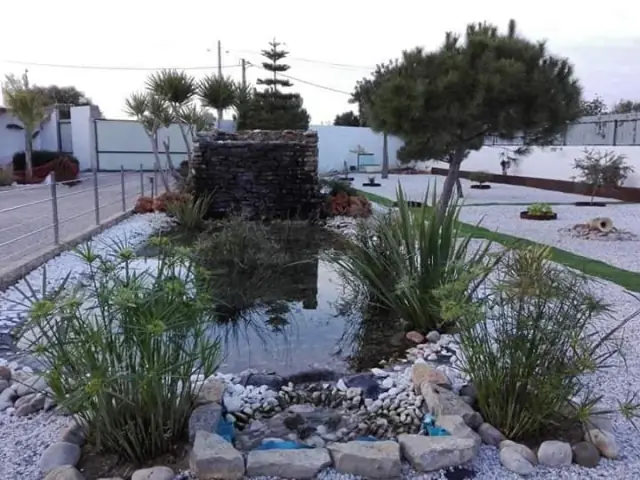 Ornamental pond with a stone cascade — photograph 1
