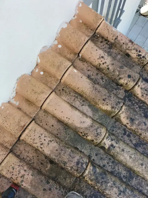 Limpeza de telhado tomado por musgo